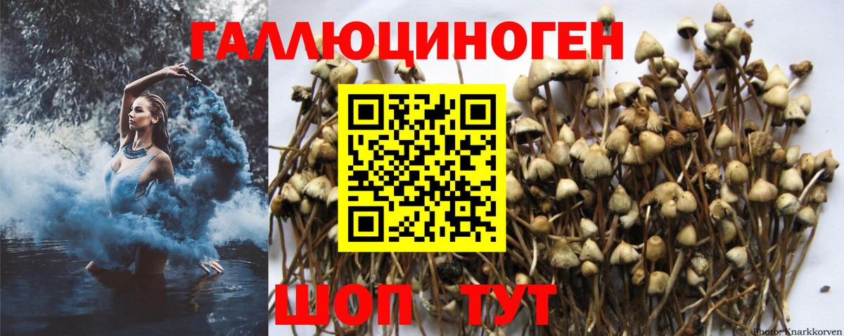 Галлюциногенные грибы мицелий  Вход с VPN  Галлюциногенные грибы Magic Shrooms  Сунжа 