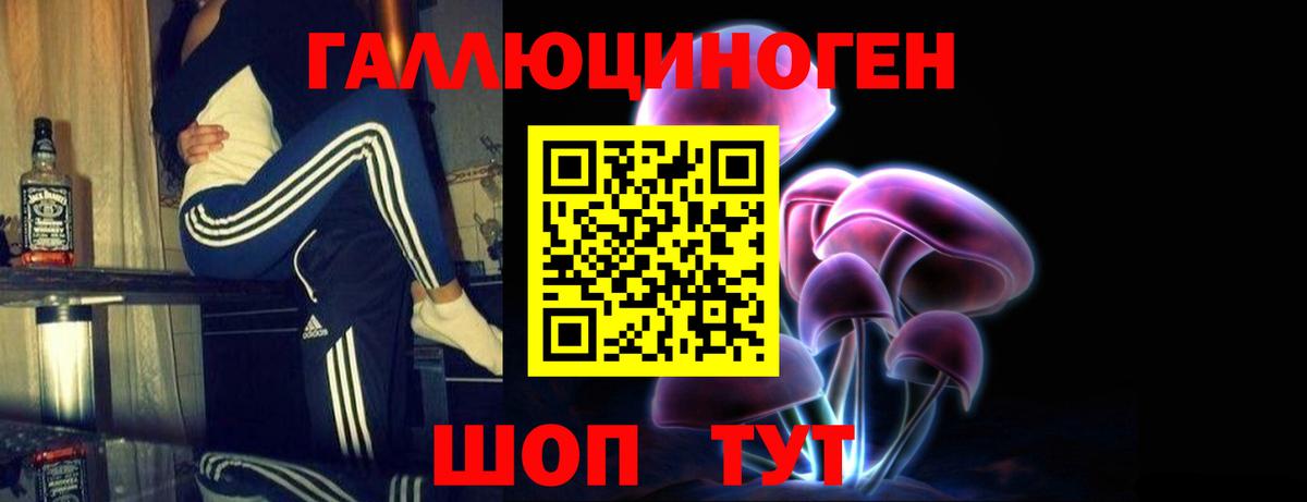 Псилоцибиновые грибы GOLDEN TEACHER Сунжа